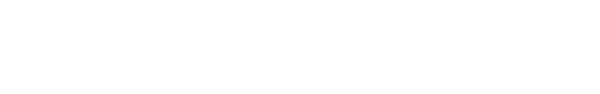 Alzamétrica